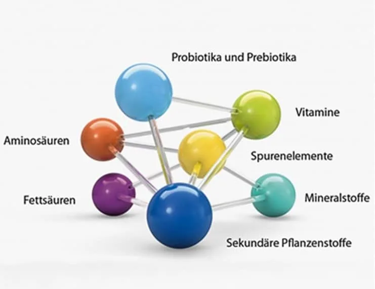 Orthomolekularmedizin